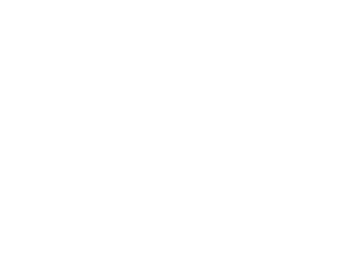 Y-CTF